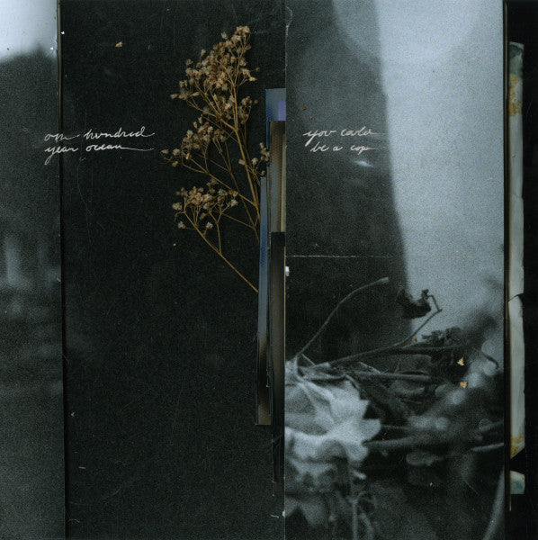 One Hundred Year Ocean / You Could Be A Cop - The Right To Be Forgotten / Does Everybody Dream album cover