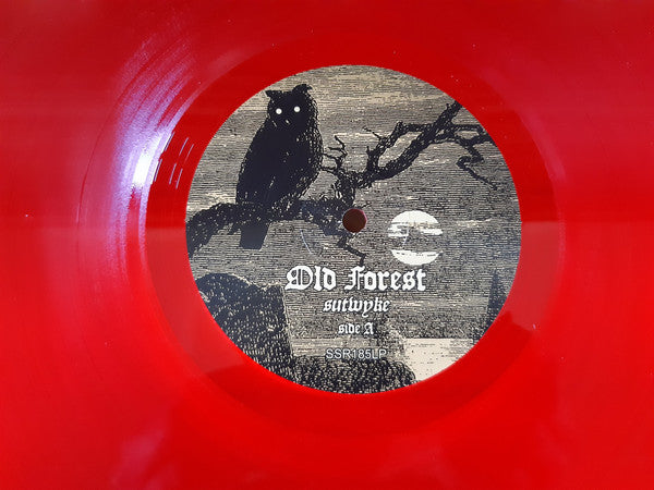 Old Forest – Sutwyke