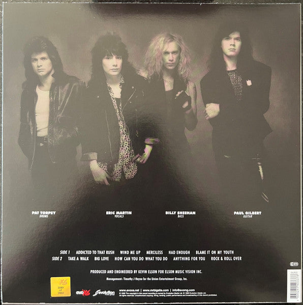 Mr. Big – Mr. Big