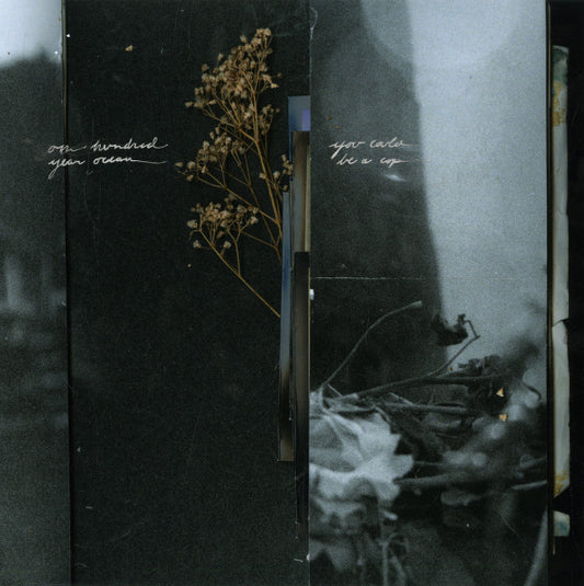 One Hundred Year Ocean / You Could Be A Cop - The Right To Be Forgotten / Does Everybody Dream album cover