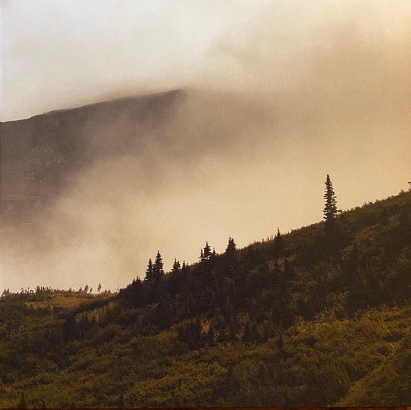 Lord Buffalo - Tohu Wa Bohu album cover