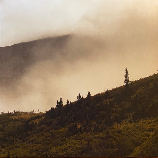 Lord Buffalo - Tohu Wa Bohu album cover