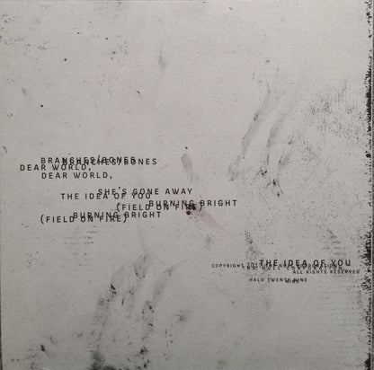 Nine Inch Nails ‎– Not The Actual Events