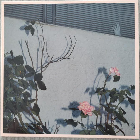 Soft Kill – Savior