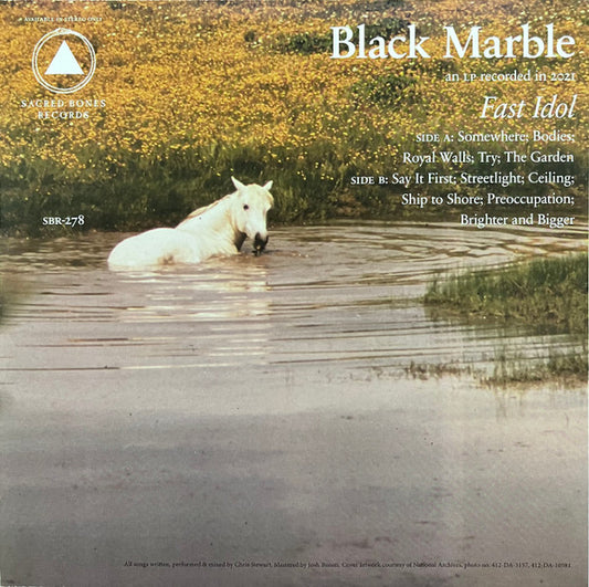 Black Marble ‎– Fast Idol