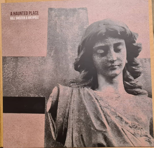 Kill Shelter & Antipole – A Haunted Place