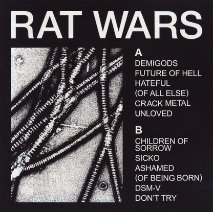 HEALTH – Rat Wars