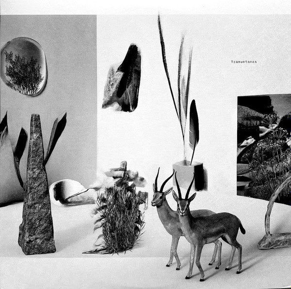 Tramuntanas – Tramuntanas