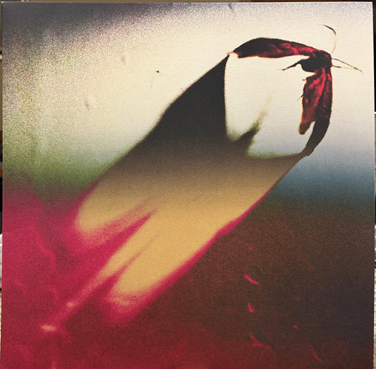 Scowl – Are We All Angels