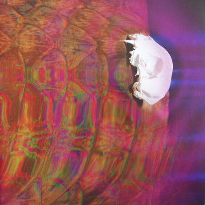 Philiac – This Appalling Ocean